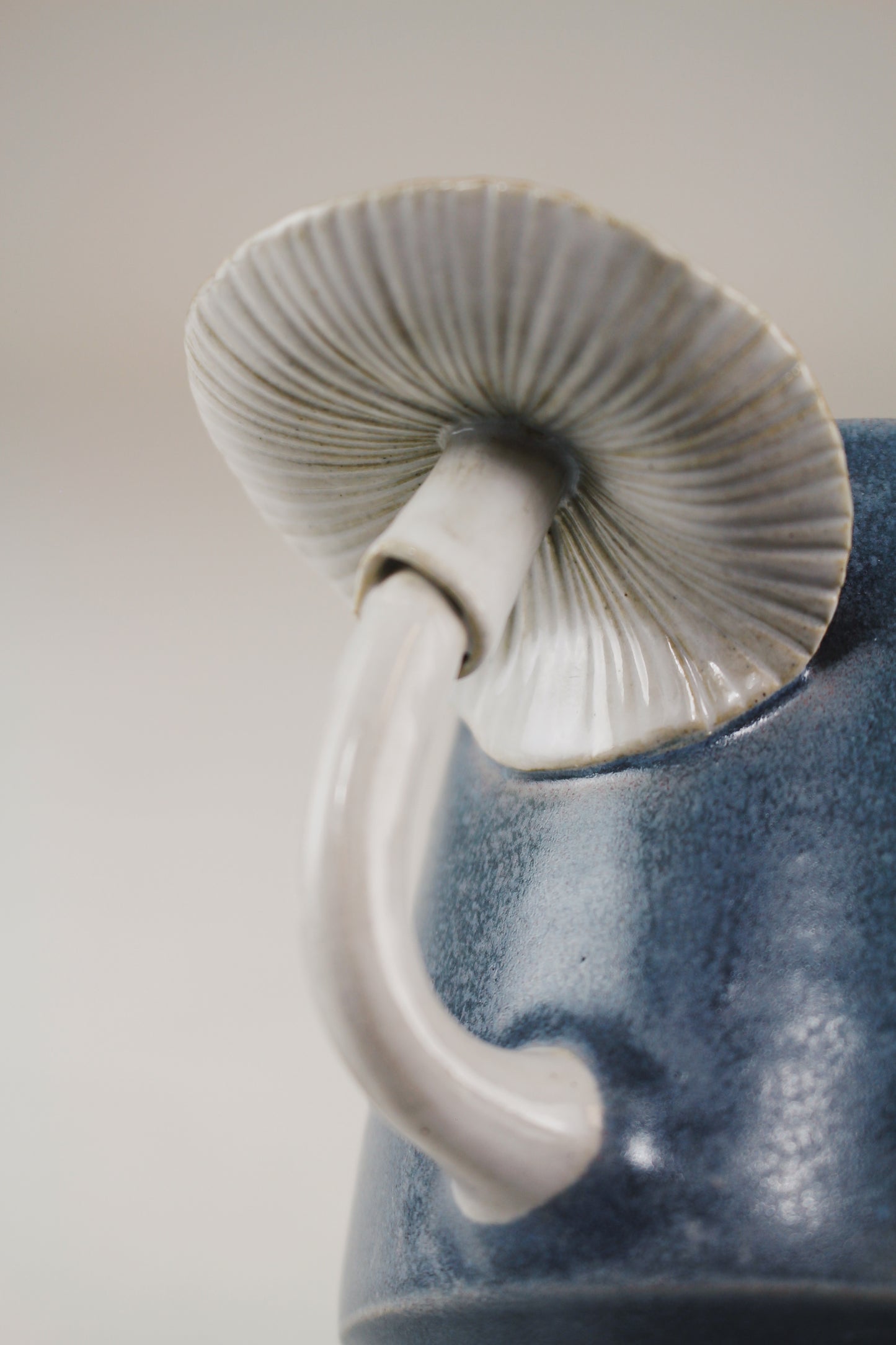 Slate Amanita Mug