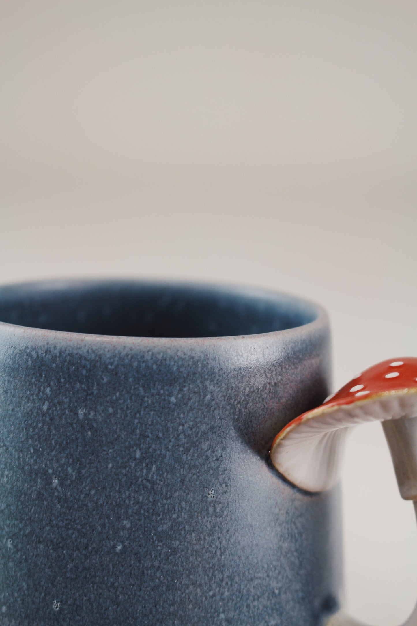 Slate Amanita Mug