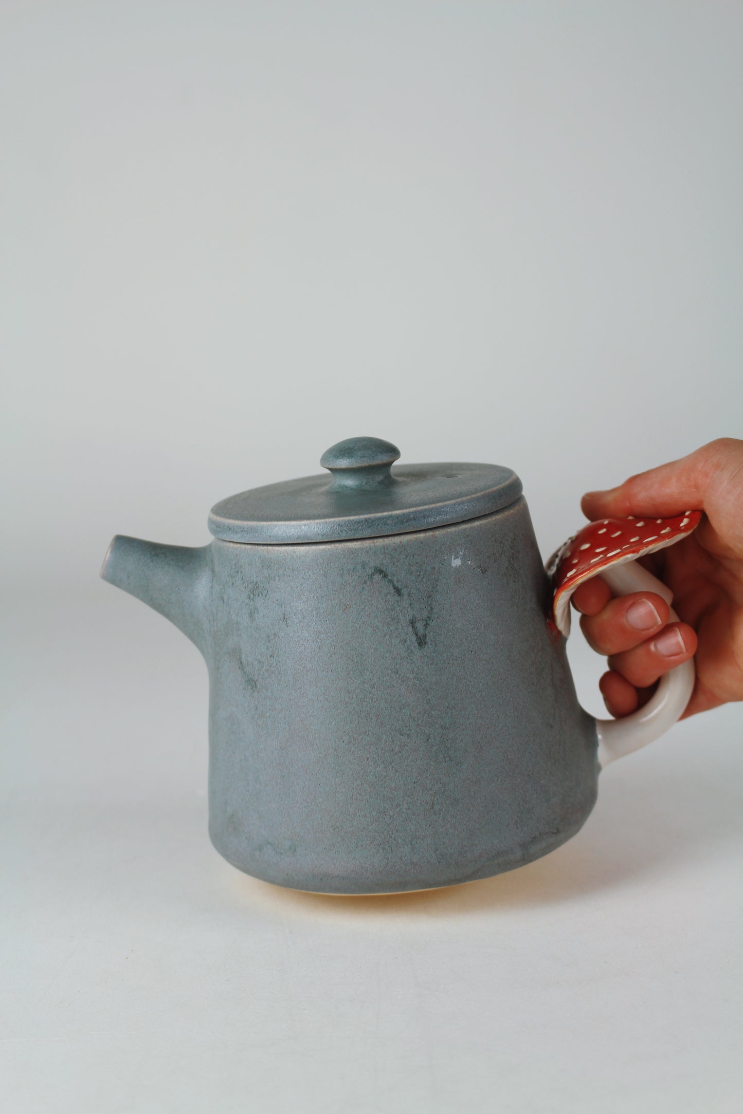 Slate Amanita Teapot
