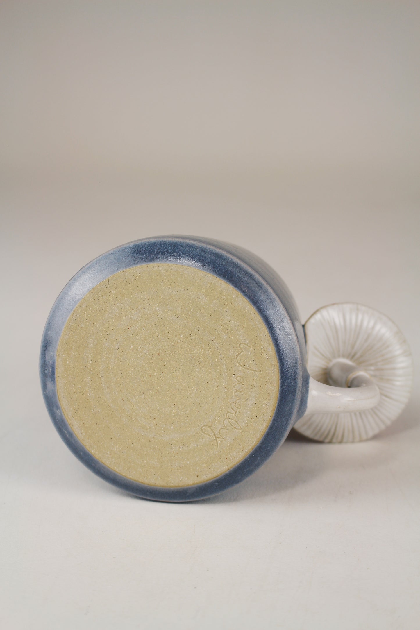 Slate Amanita Mug