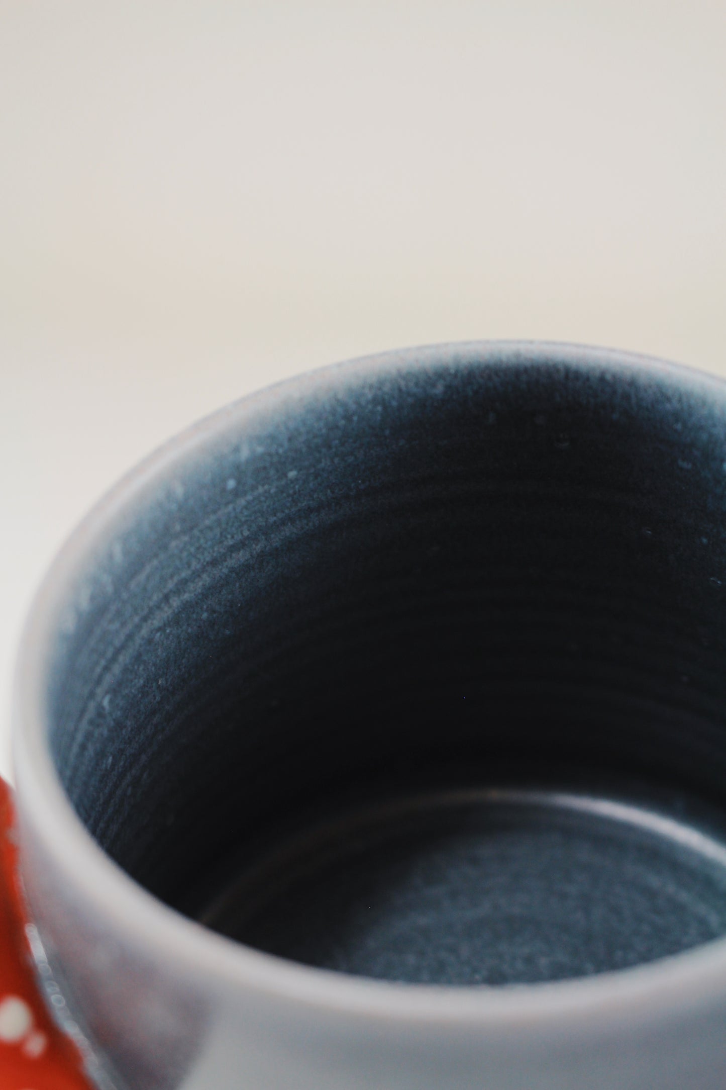 Slate Amanita Mug