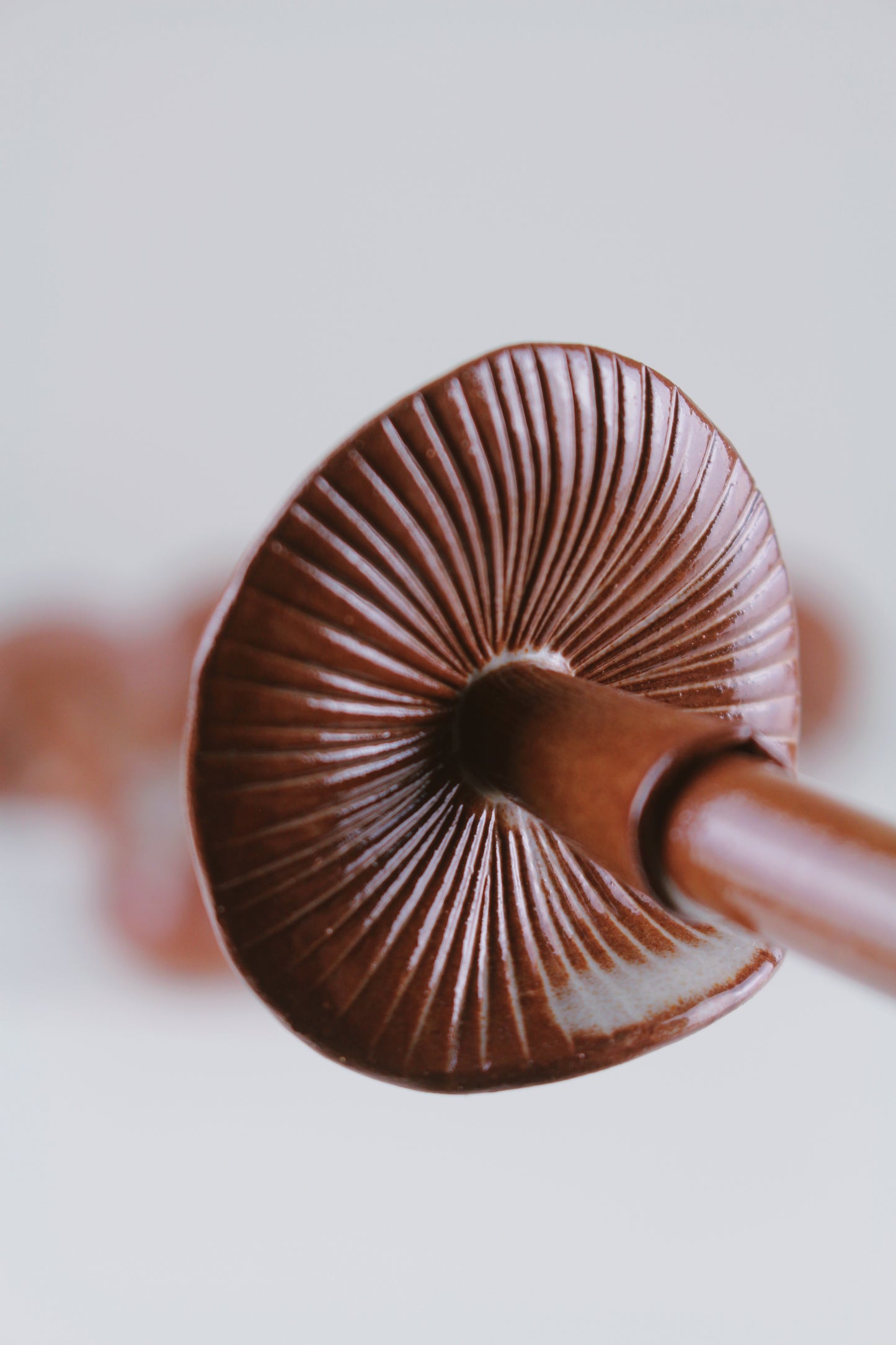 Mushroom Spoon