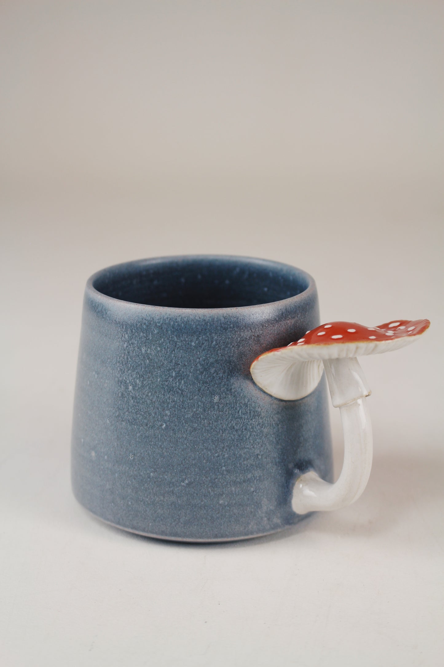 Slate Amanita Mug