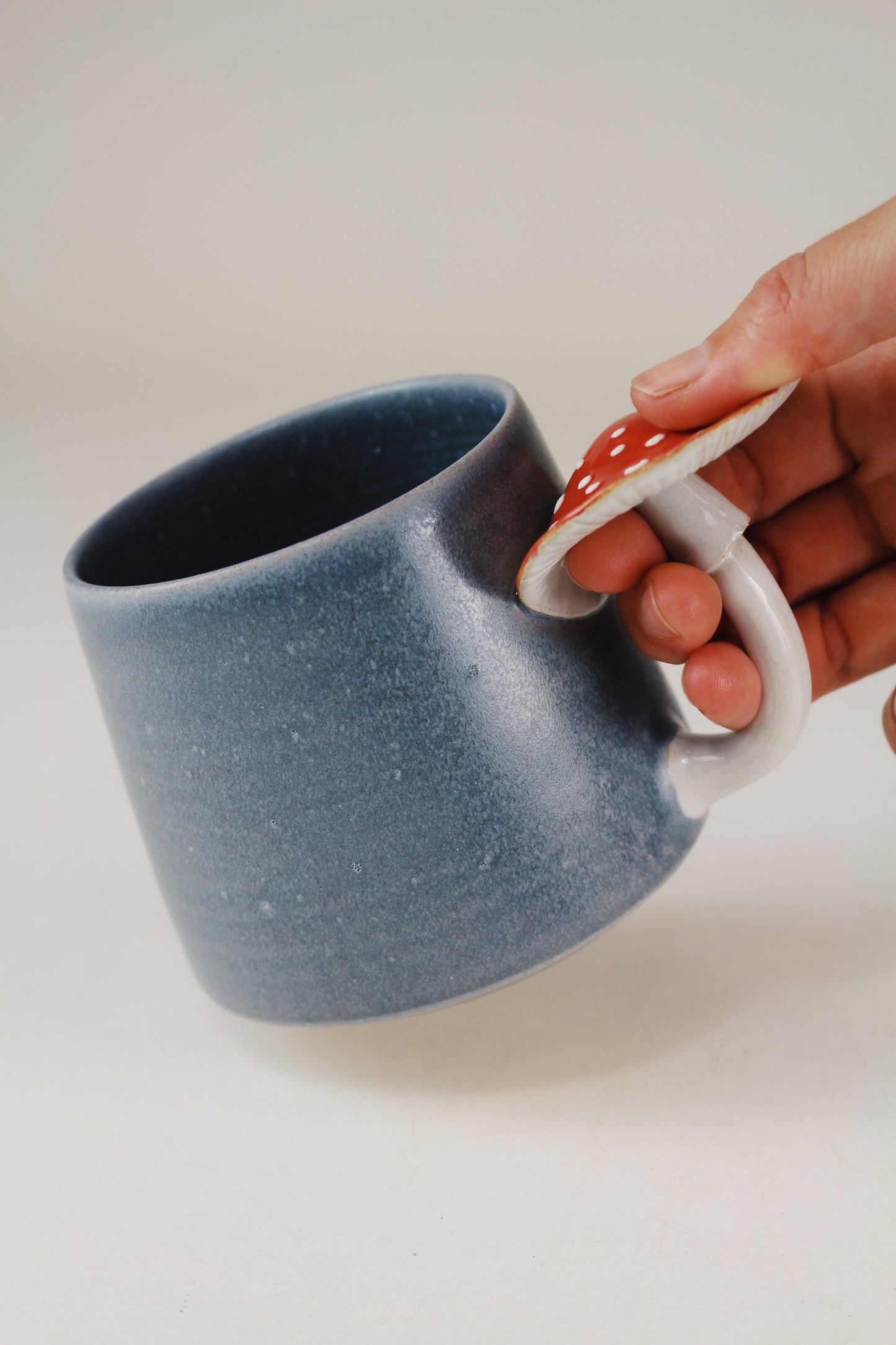 Slate Amanita Mug