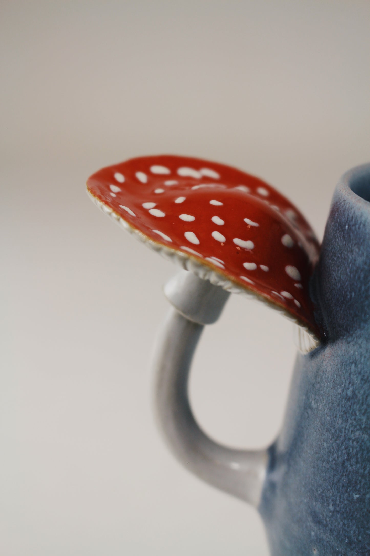 Slate Amanita Mug