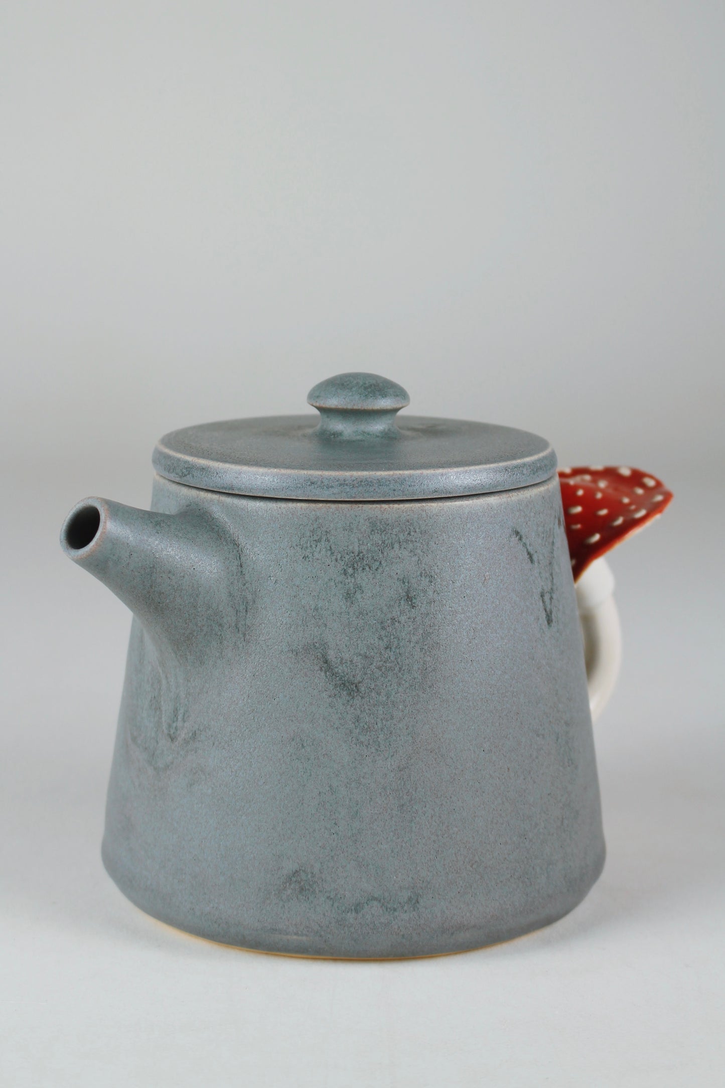 Slate Amanita Teapot