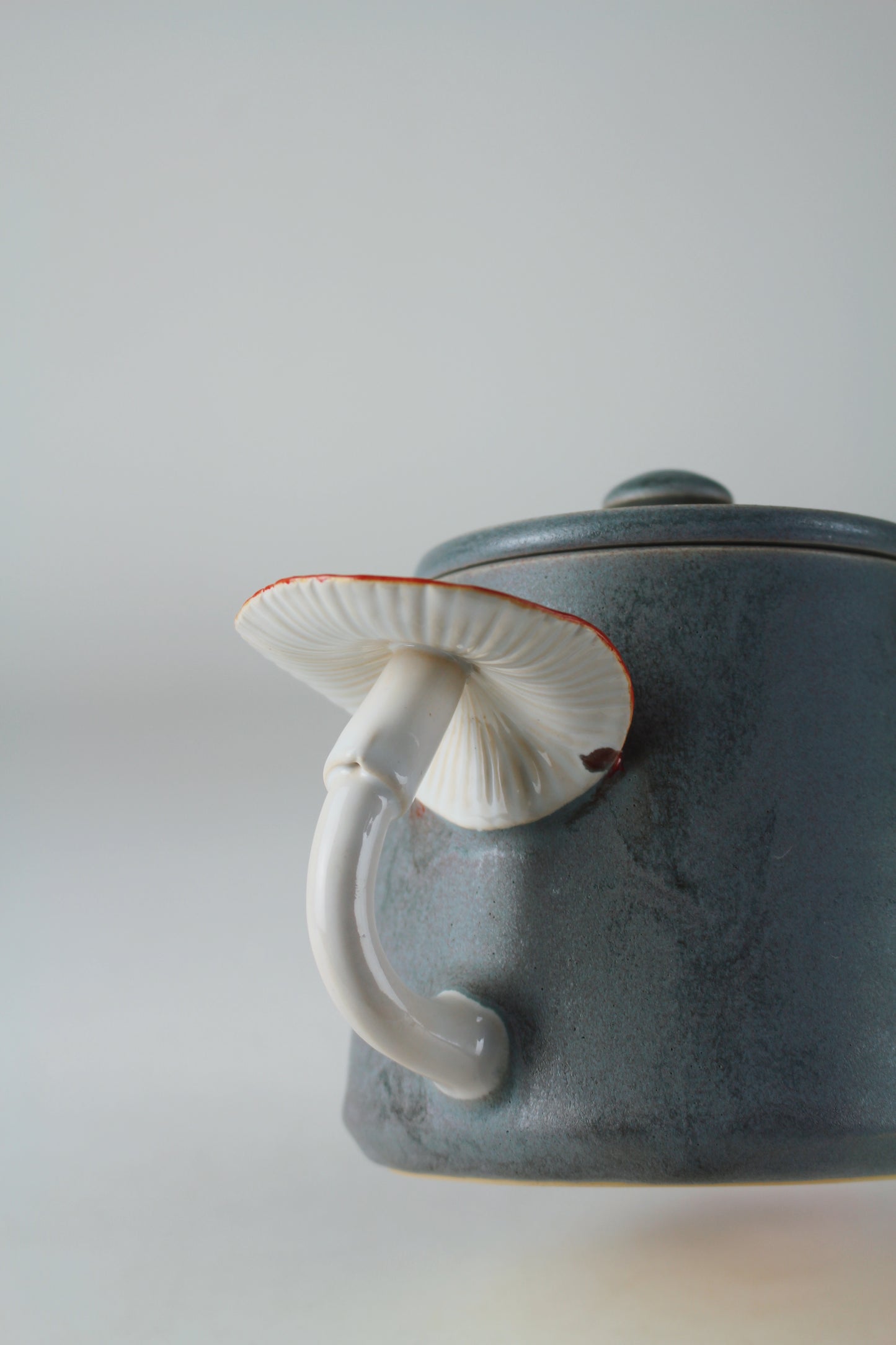 Slate Amanita Teapot