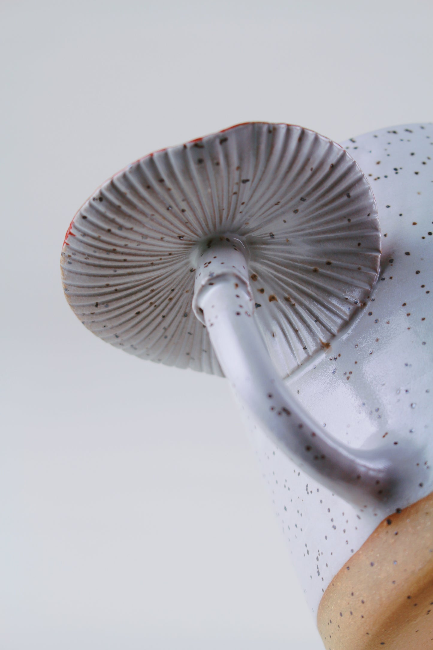 Speckled Amanita Mug
