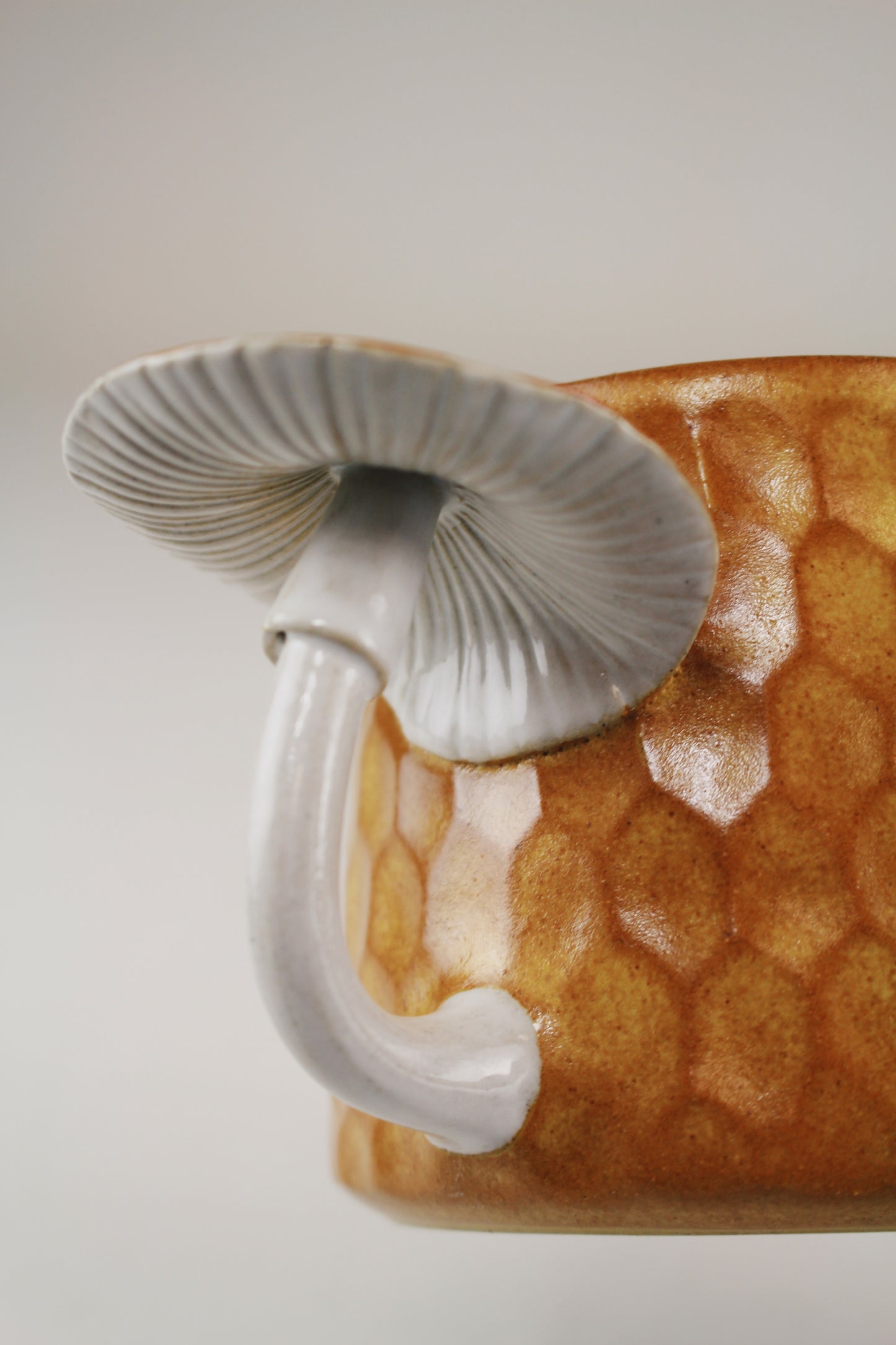 Golden Honey Amanita Mug