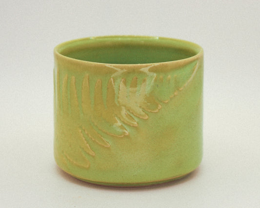 Fern Cup