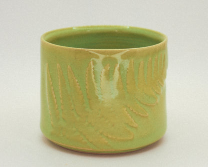 Fern Cup