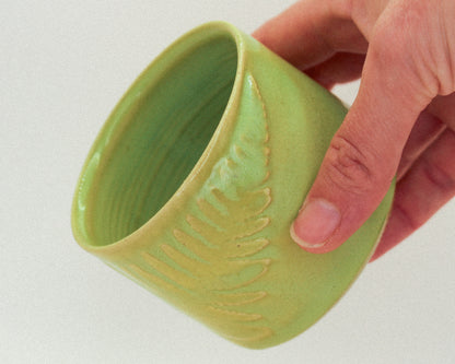 Fern Cup