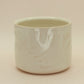 Fern Cup