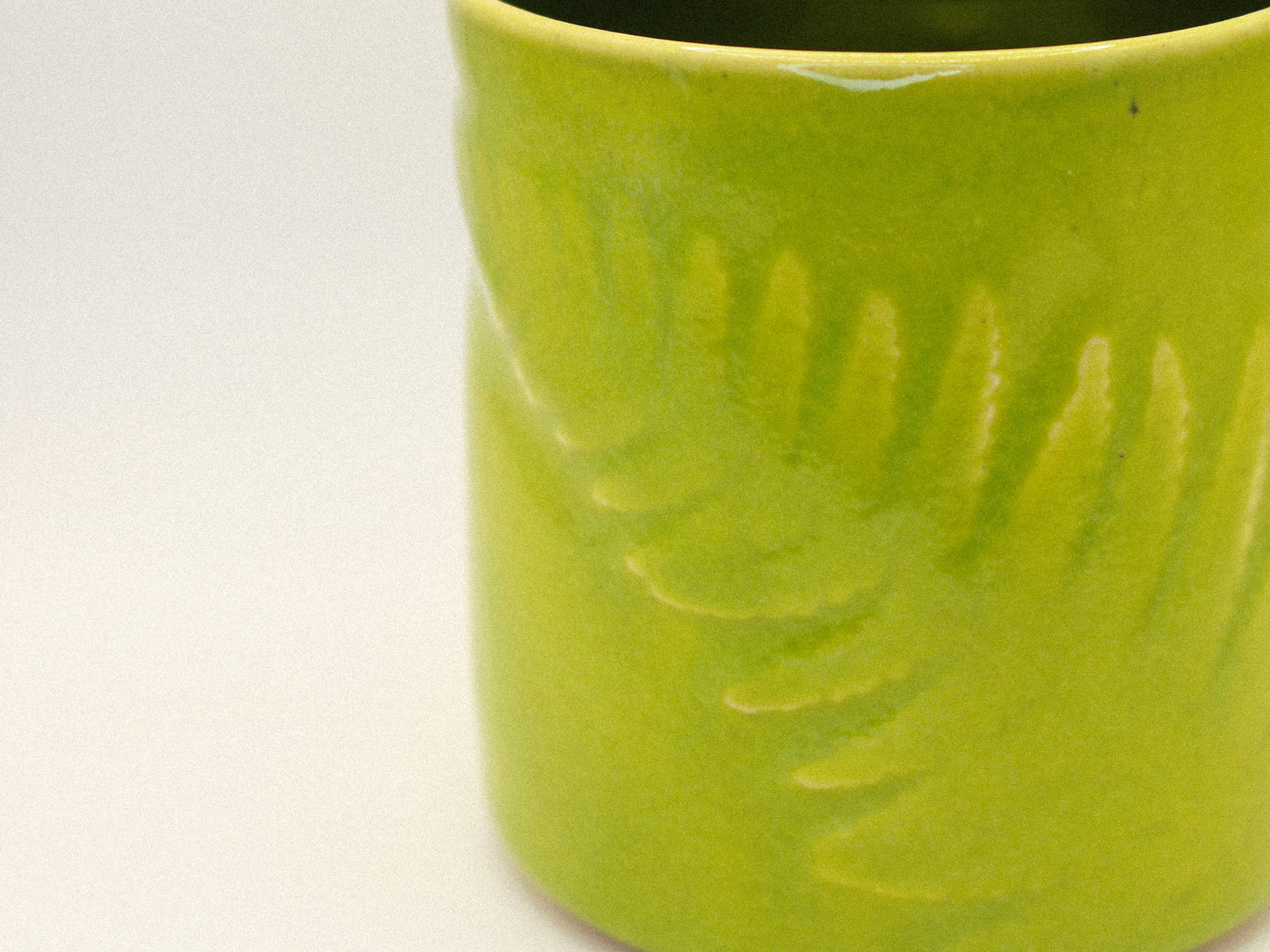 To-Go Fern Cup