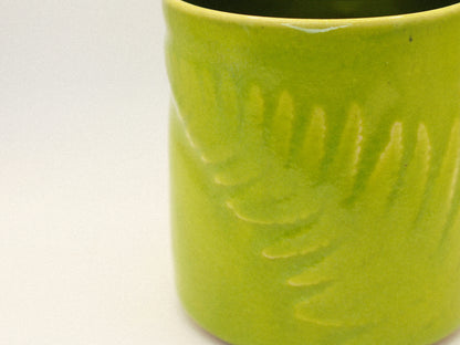 To-Go Fern Cup